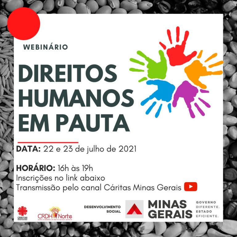 [Notícias] Equipe Do Instituto DH Participa De Webnário Que Debaterá ...